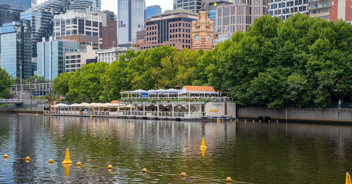 Comparing User Experiences on Different Boat Hire Websites