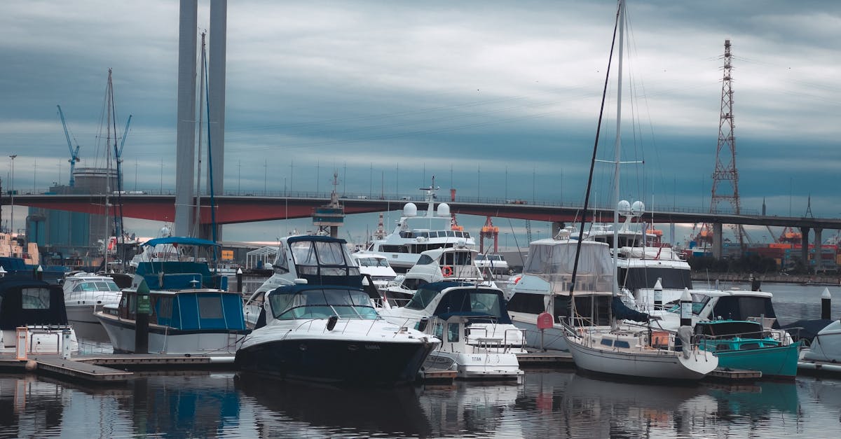 Exploring the Benefits of Hiring a Tinny in Melbourne