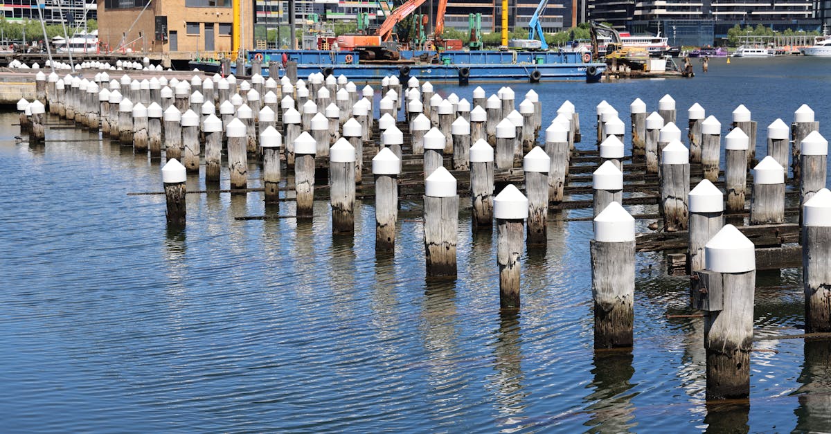 Festive Season Boat Hire Rates: What to Expect