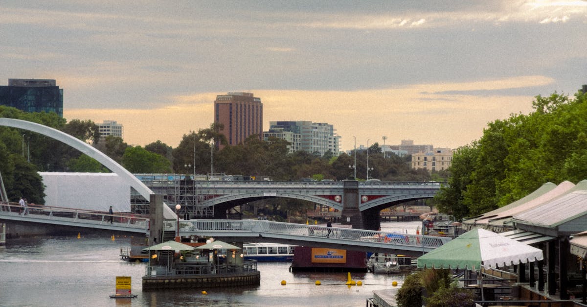 Planning a Perfect Day Trip from Port Phillip Bay