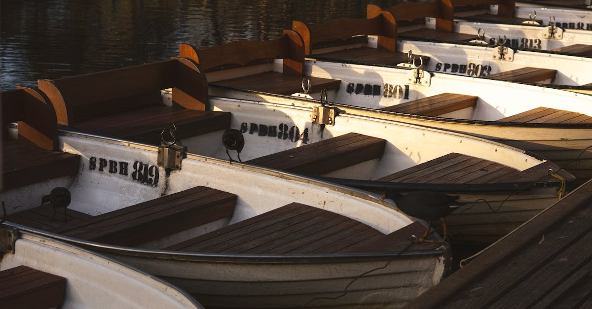 Tinny Hire: Essential Gear and Equipment for a Successful Day Out