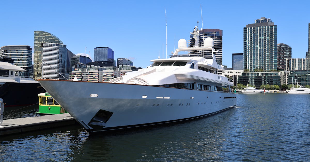 Wildlife Encounters You Can Expect While Boating on the Yarra River